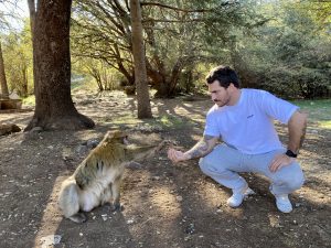 Viajar a Marruecos en enero