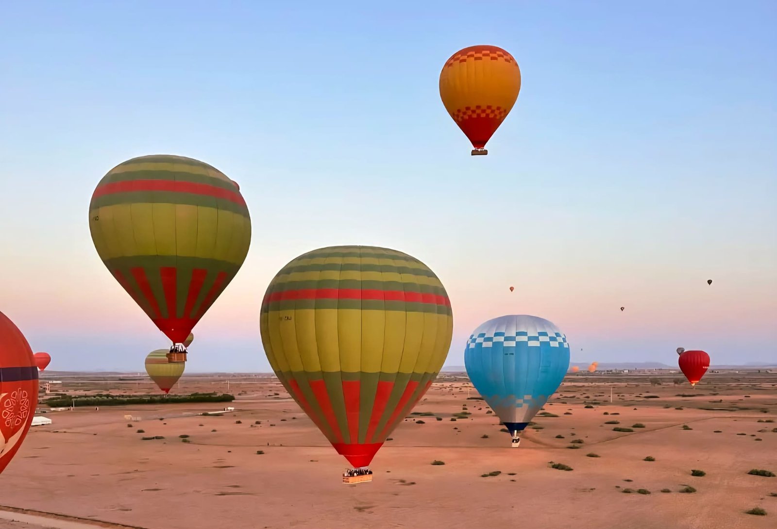 Hot-air balloons rising over the plain outside Marrakech at dawn, with the High Atlas on the horizon