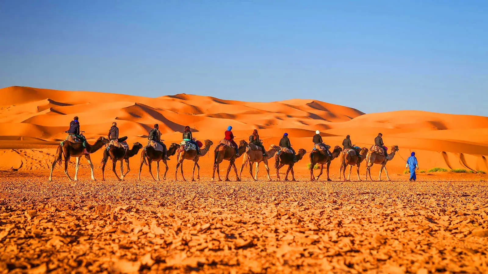 Tour di 5 Giorni da Fes a Marrakech
