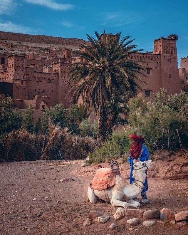 Tour di 11 giorni da Casablanca