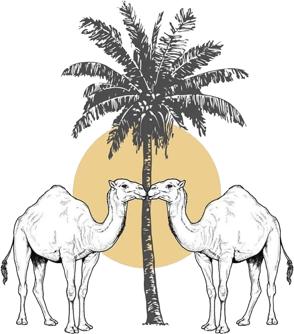 Logo best morocco travel