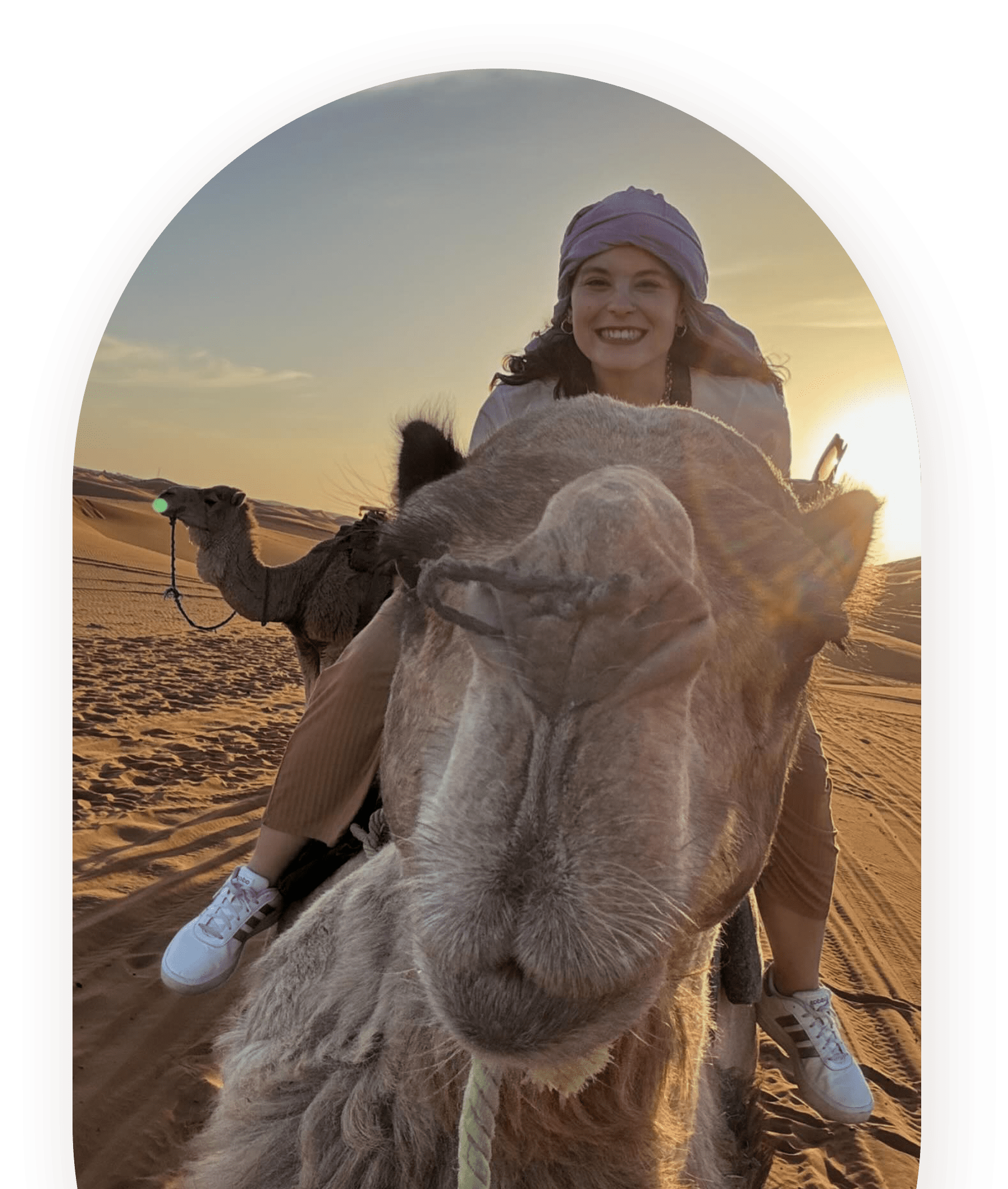 Camel trekking across Sahara dunes during Morocco tours by Best Morocco Travel